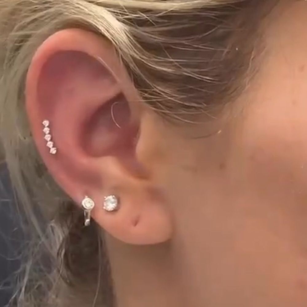 Ear crawler - Picture 3 of 8
